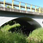 DSCN2666