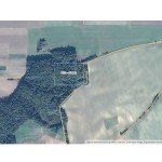 Źródło: http://photos.wikimapia.org/